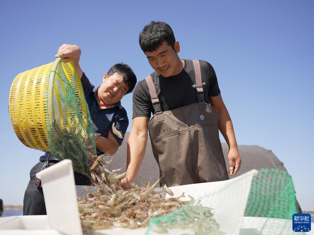 诈金花游戏下载